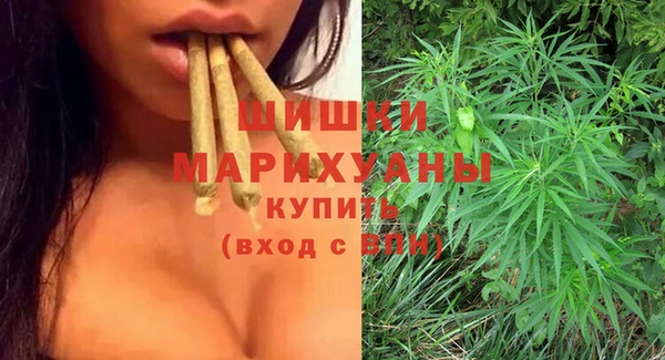 spice Арсеньев