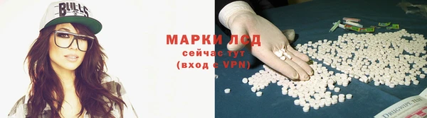 spice Арсеньев