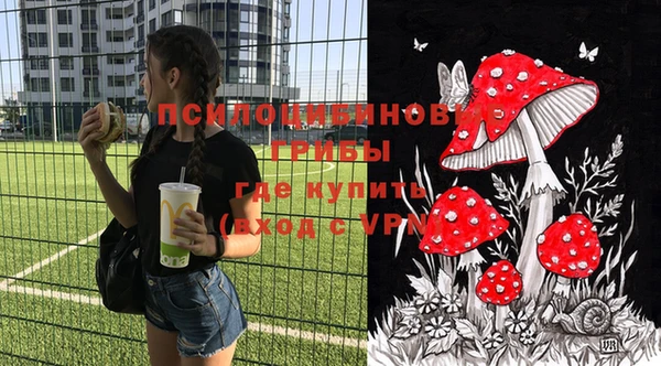 СК Аркадак