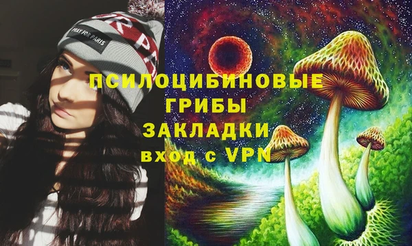 spice Арсеньев