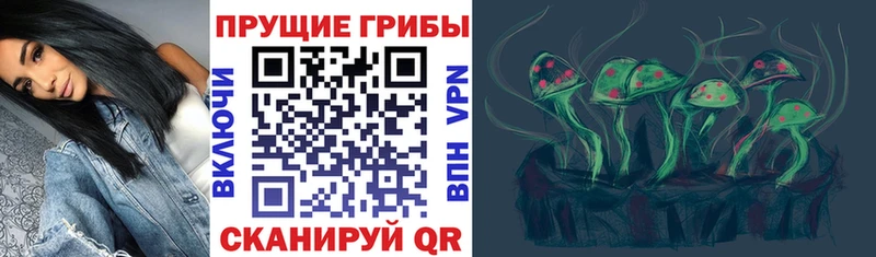 где купить наркоту  Ессентуки  Галлюциногенные грибы мухоморы 
