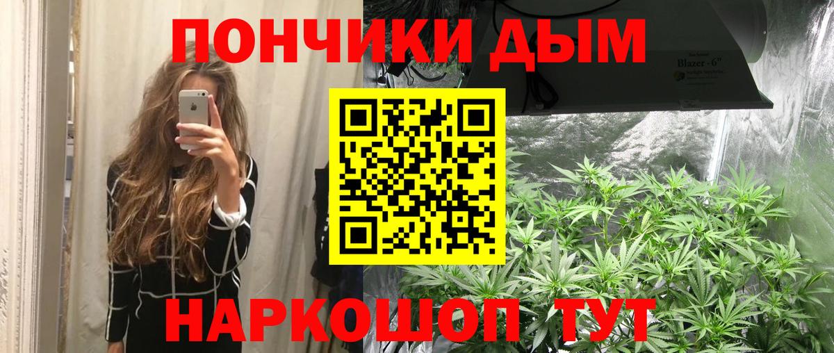 Канабис марихуана Ессентуки